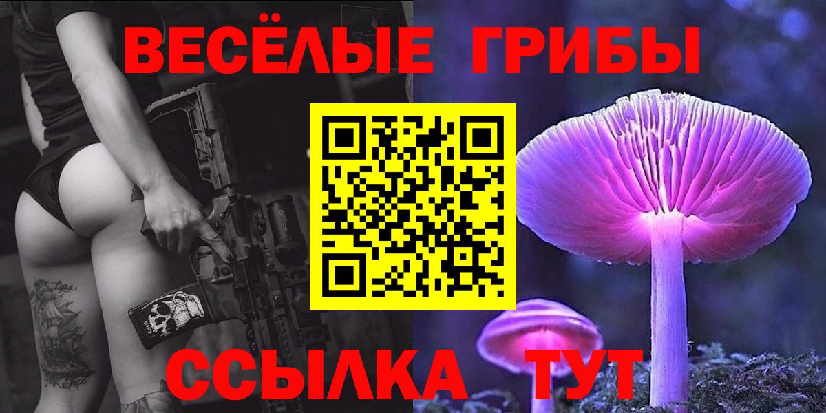 Псилоцибиновые грибы MAGIC MUSHROOMS  Вход с VPN  купить   Кунгур 
