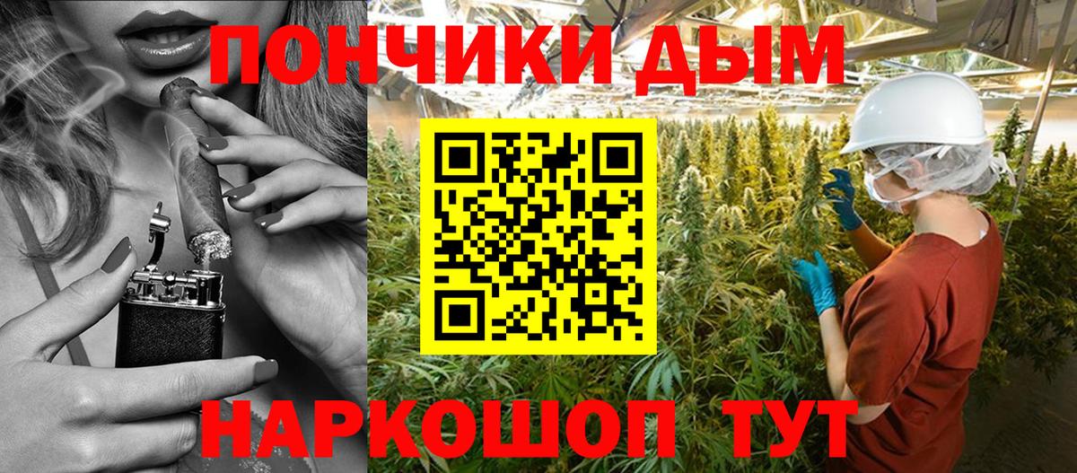 Бошки Шишки Amnesia Кунгур